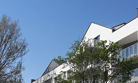 20210512-095131.jpg